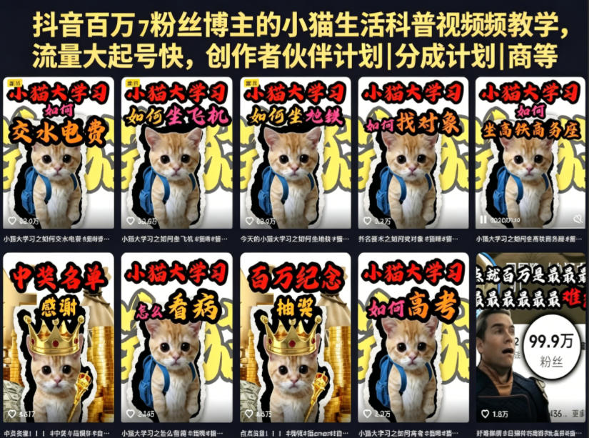 抖音百万粉丝博主的小猫生活科普视频教学，流量大起号快，创作者伙伴计划|分成计划|商单|收徒等-校睿铺