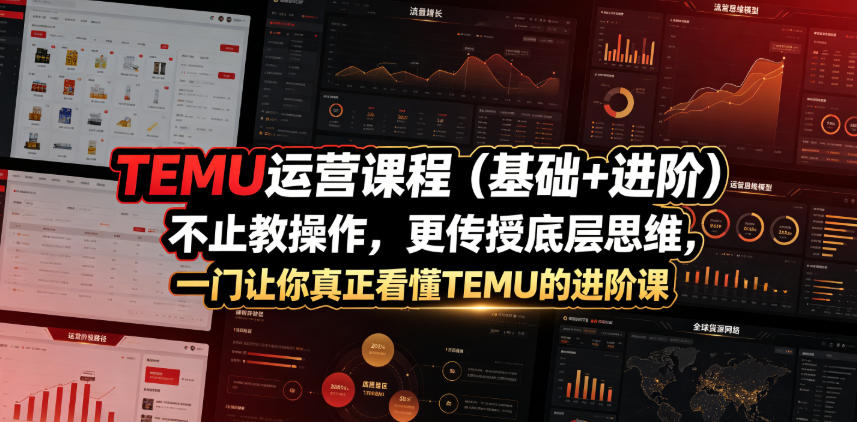 TEMU运营课程(基础+进阶)，不止教操作，更传授底层思维，一门让你真正看懂TEMU的进阶课-校睿铺