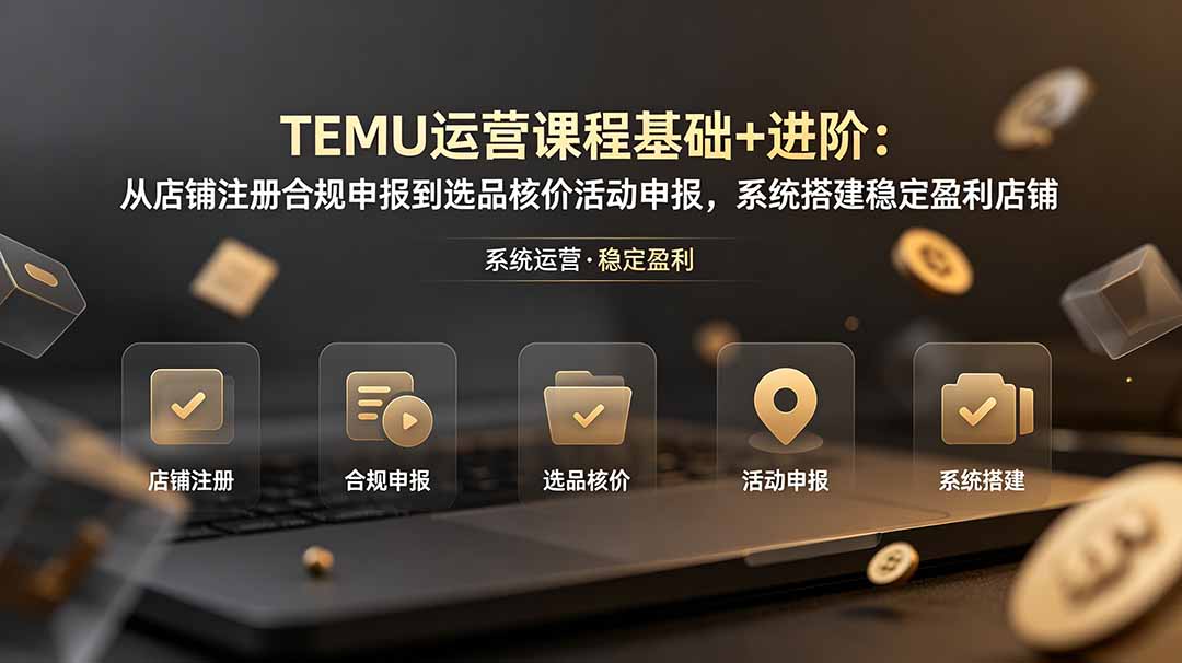 TEMU运营课程(基础+进阶-校睿铺