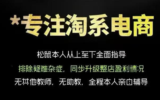 松鼠会电商VIP课程，从基础布局到高阶优化，助你掌握淘宝运营逻辑，提升店铺流量与转化(更新0703)-校睿铺