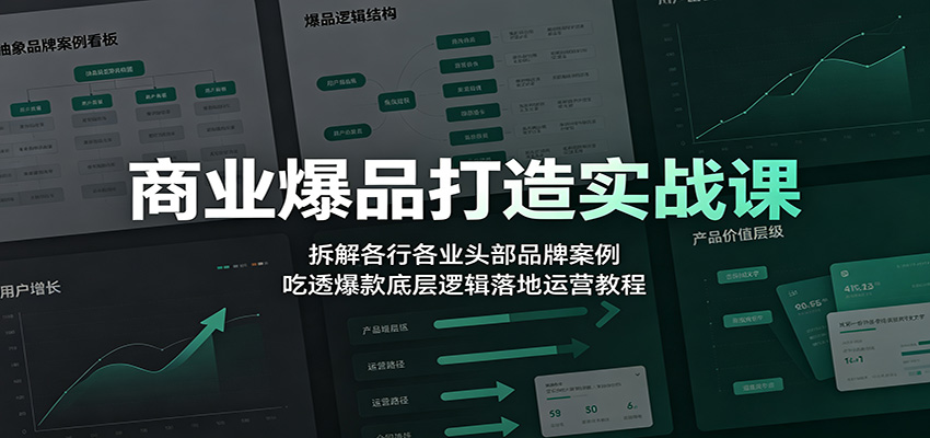 商业爆品打造实战课：拆解各行各业头部品牌案例，吃透爆款底层逻辑落地运营教程-校睿铺